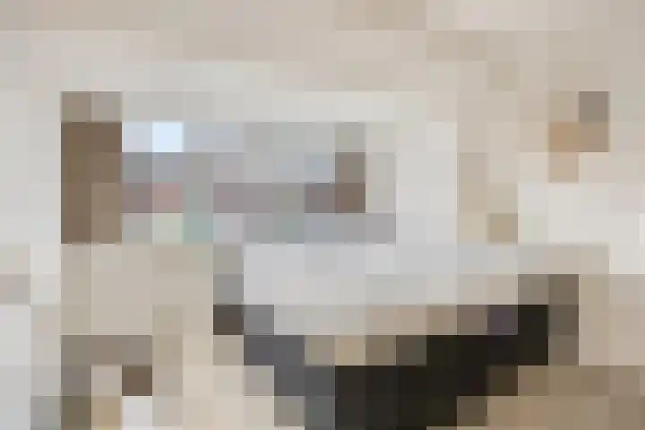 Hoveniersweg 9 Tiel thumbnail 5