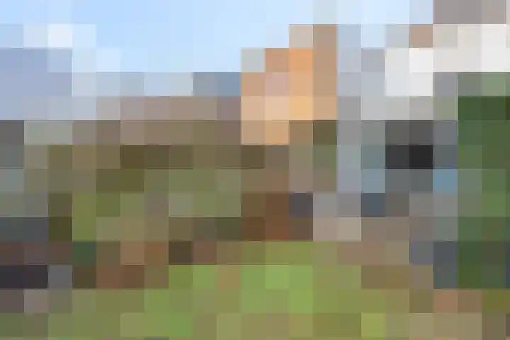 Hoveniersweg 9 Tiel thumbnail 6