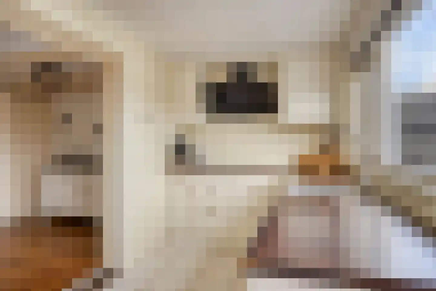 Hoveniersweg 98 Tiel thumbnail 11