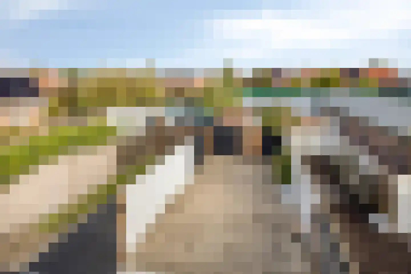 Hoveniersweg 98 Tiel thumbnail 21