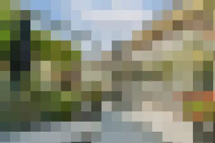Hovenlaan 10 Dordrecht thumbnail 35