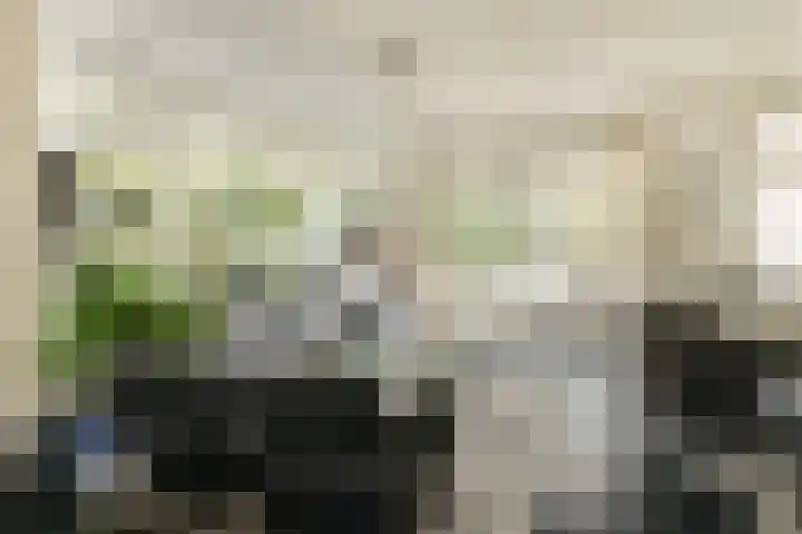 Hovenlaan 10 Dordrecht thumbnail 5