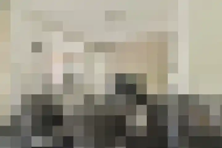 Hovenlaan 10 Dordrecht thumbnail 6
