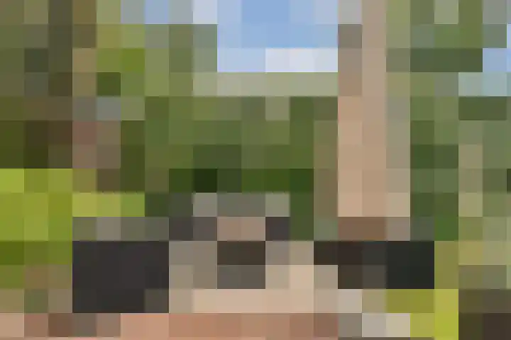 Hovenlaan 17 Dordrecht thumbnail 31