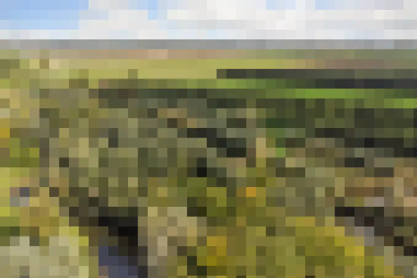 Hovenlaan 77 Dordrecht thumbnail 83