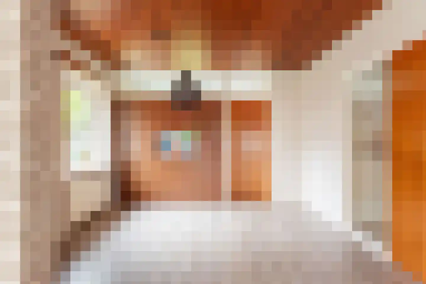 Hovenstraat 15 Dinxperlo thumbnail 14