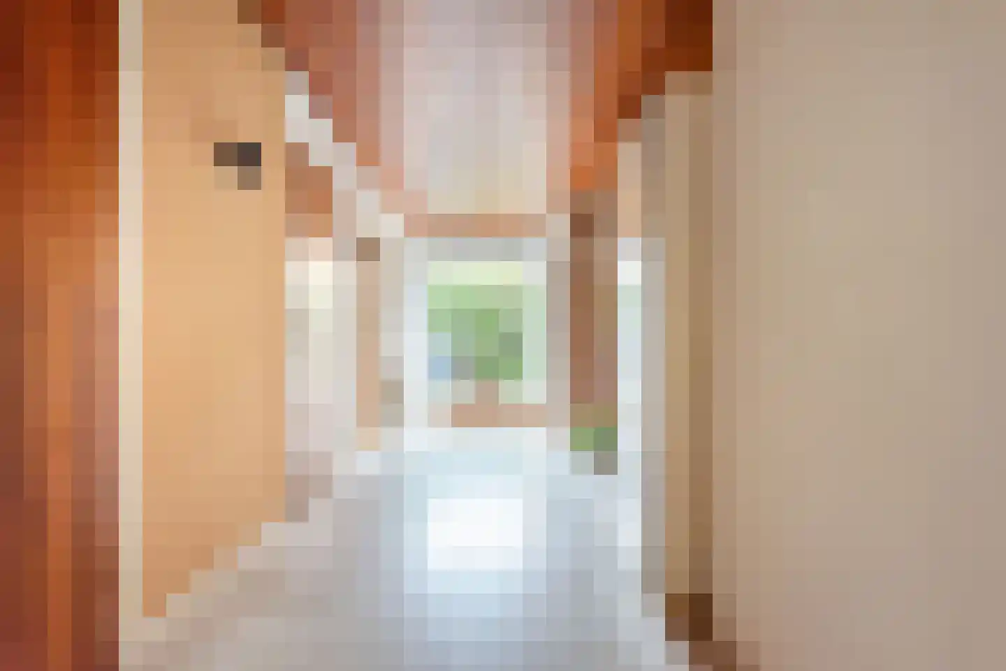 Hovenstraat 15 Dinxperlo thumbnail 20