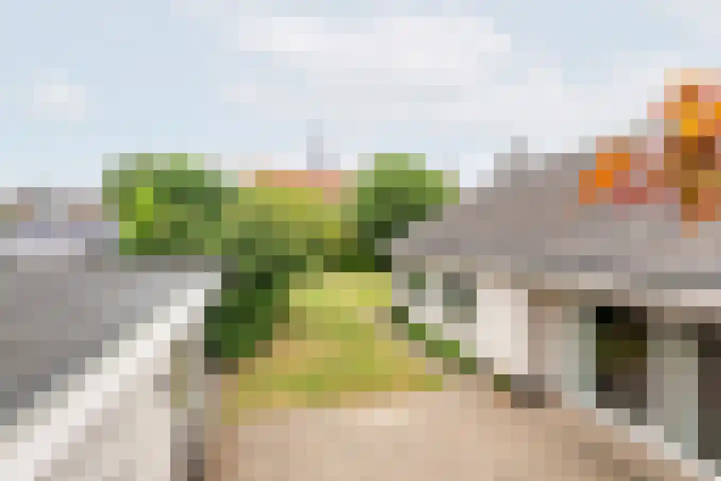 Hovenstraat 15 Dinxperlo thumbnail 41