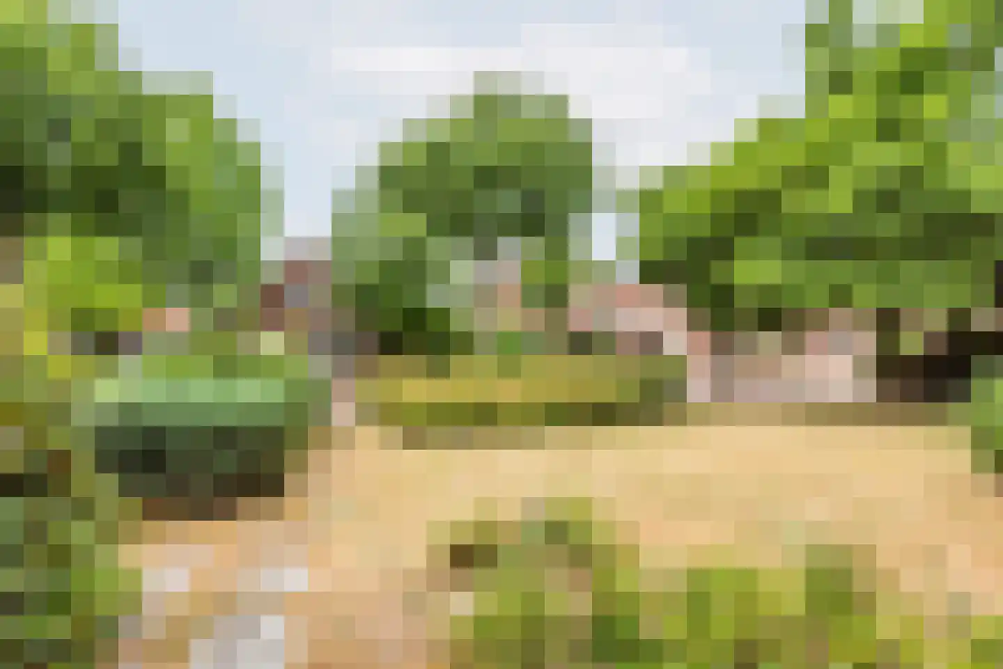 Hovenstraat 15 Dinxperlo thumbnail 45