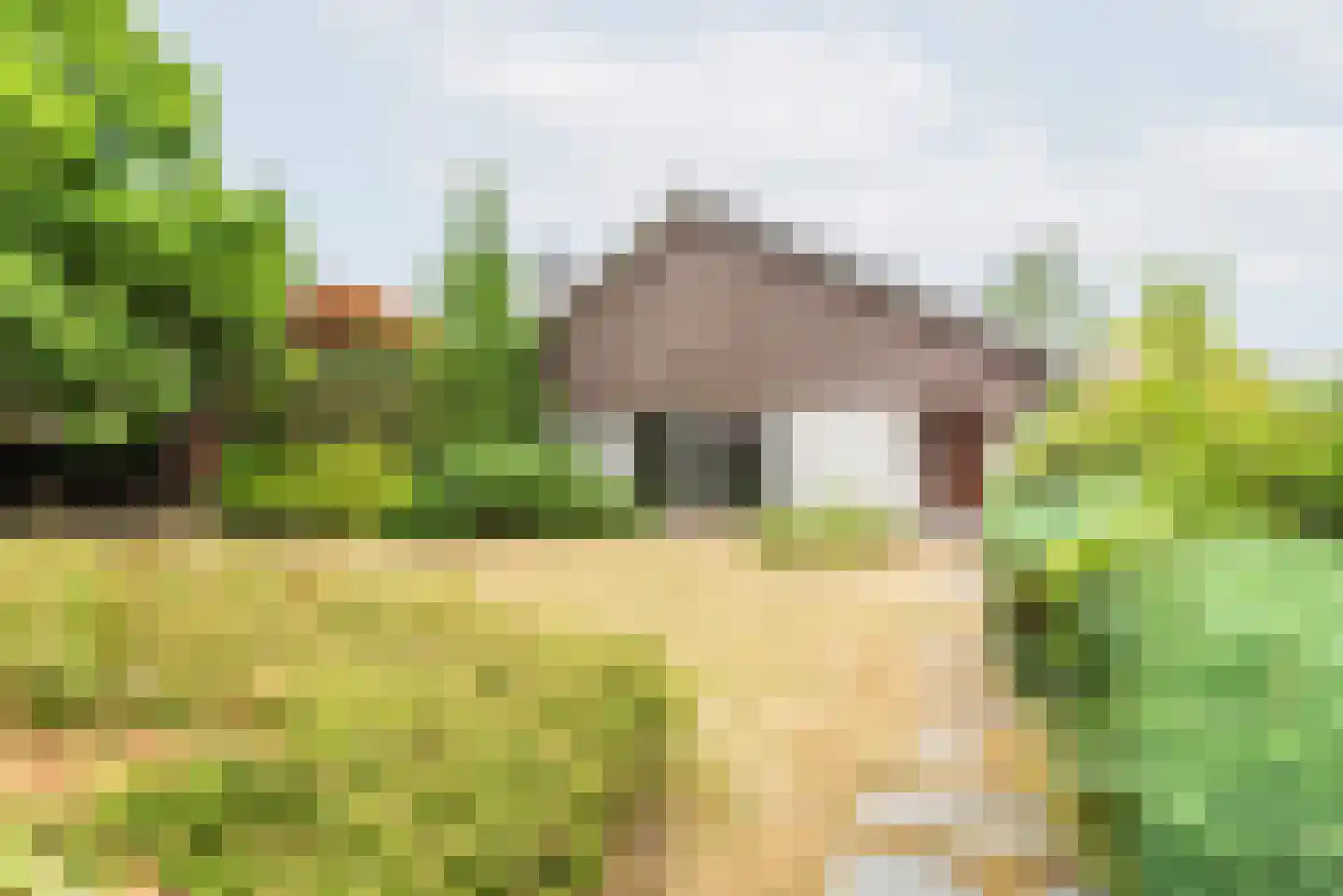 Hovenstraat 15 Dinxperlo thumbnail 7
