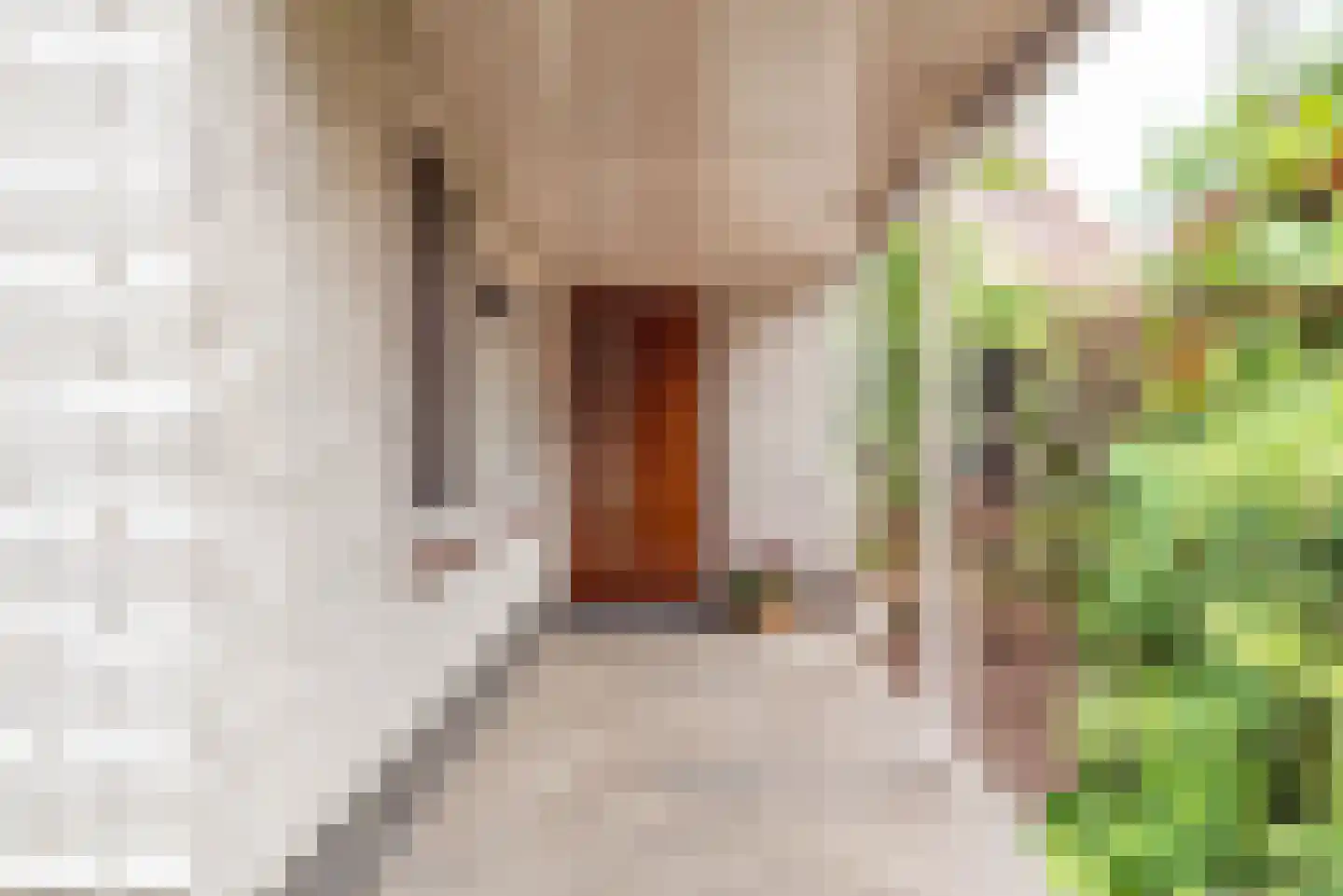 Hovenstraat 15 Dinxperlo thumbnail 8