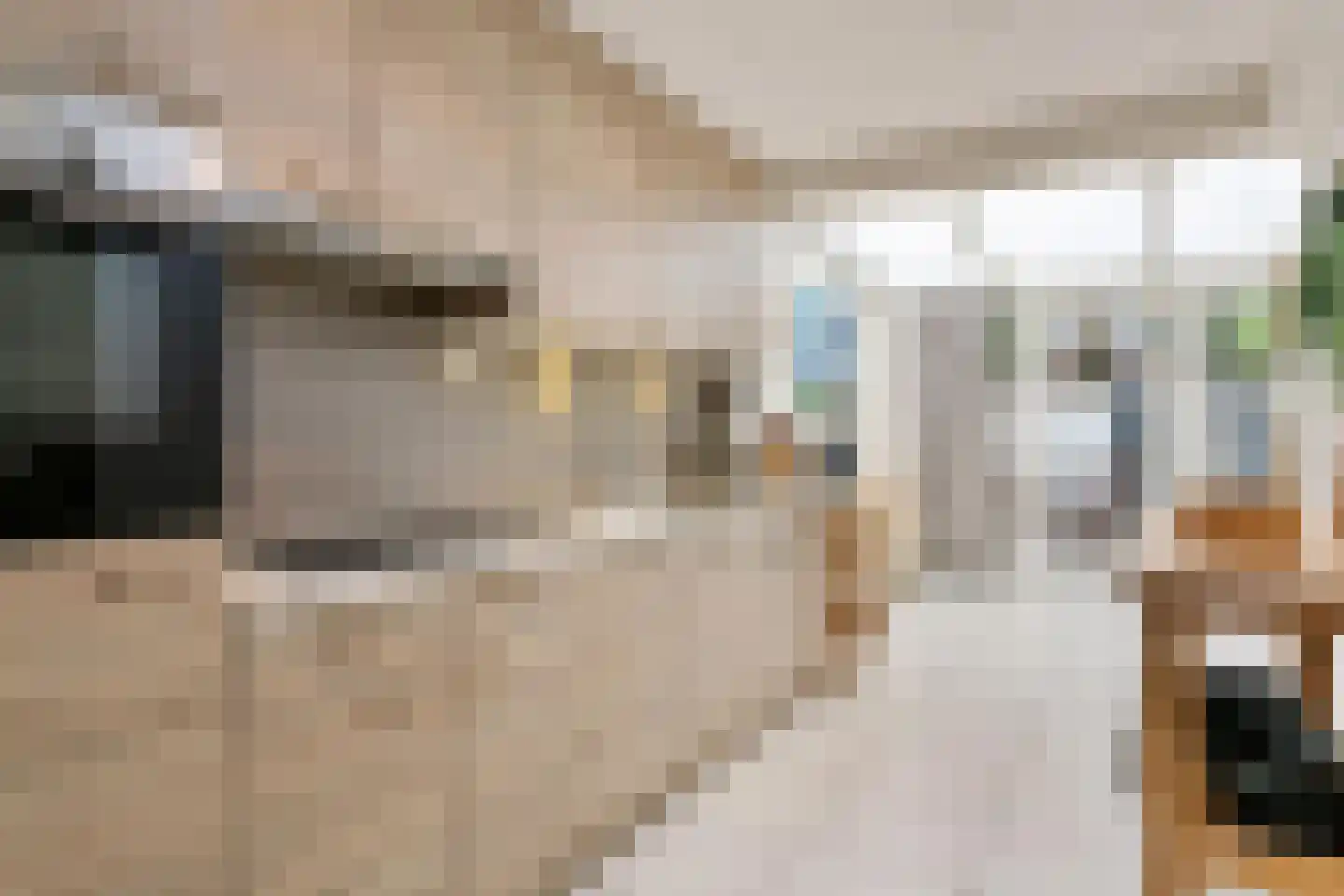 Hovenstraat 15 Maastricht thumbnail 6
