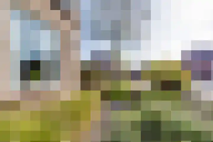 Hovenstraat 19 Varsseveld thumbnail 19