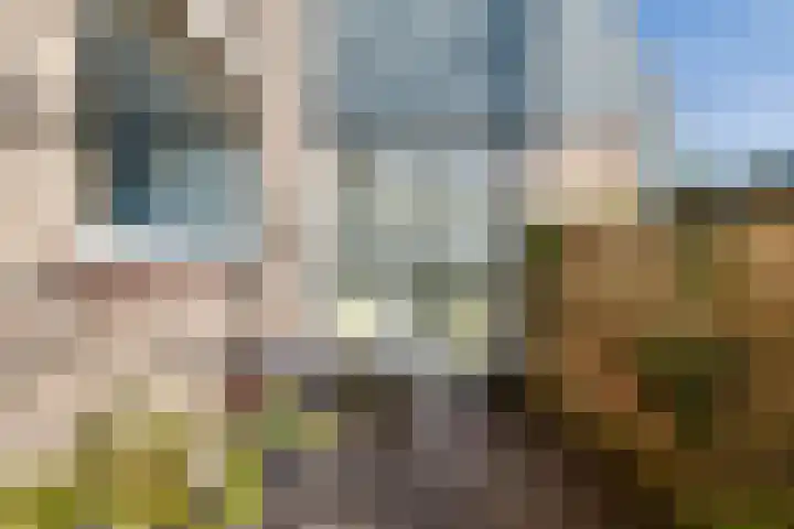 Hovenstraat 19 Varsseveld thumbnail 20