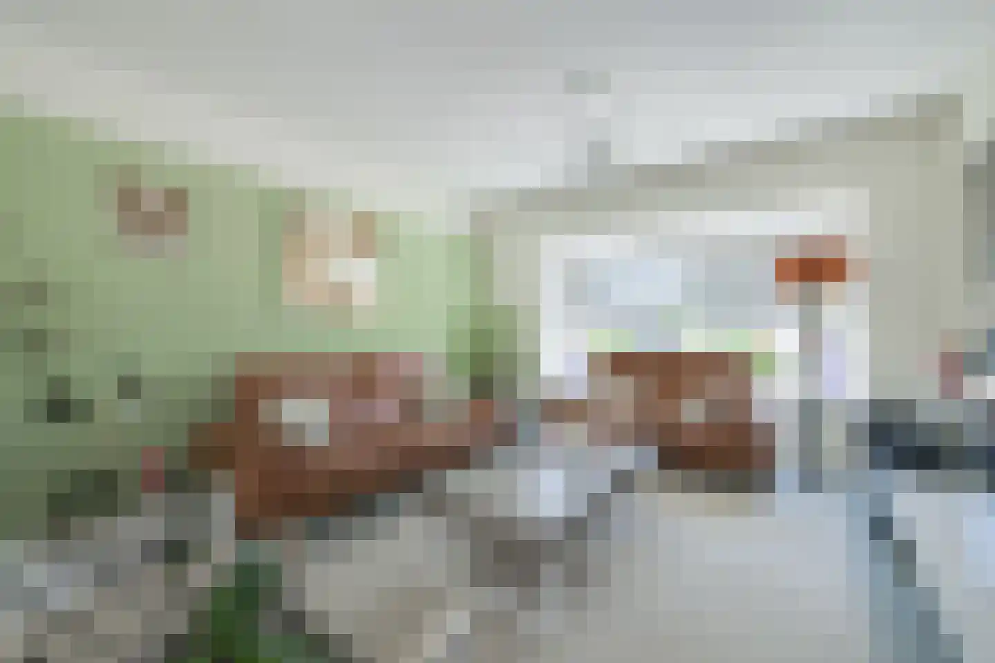 Hovenstraat 7 Varsseveld thumbnail 12