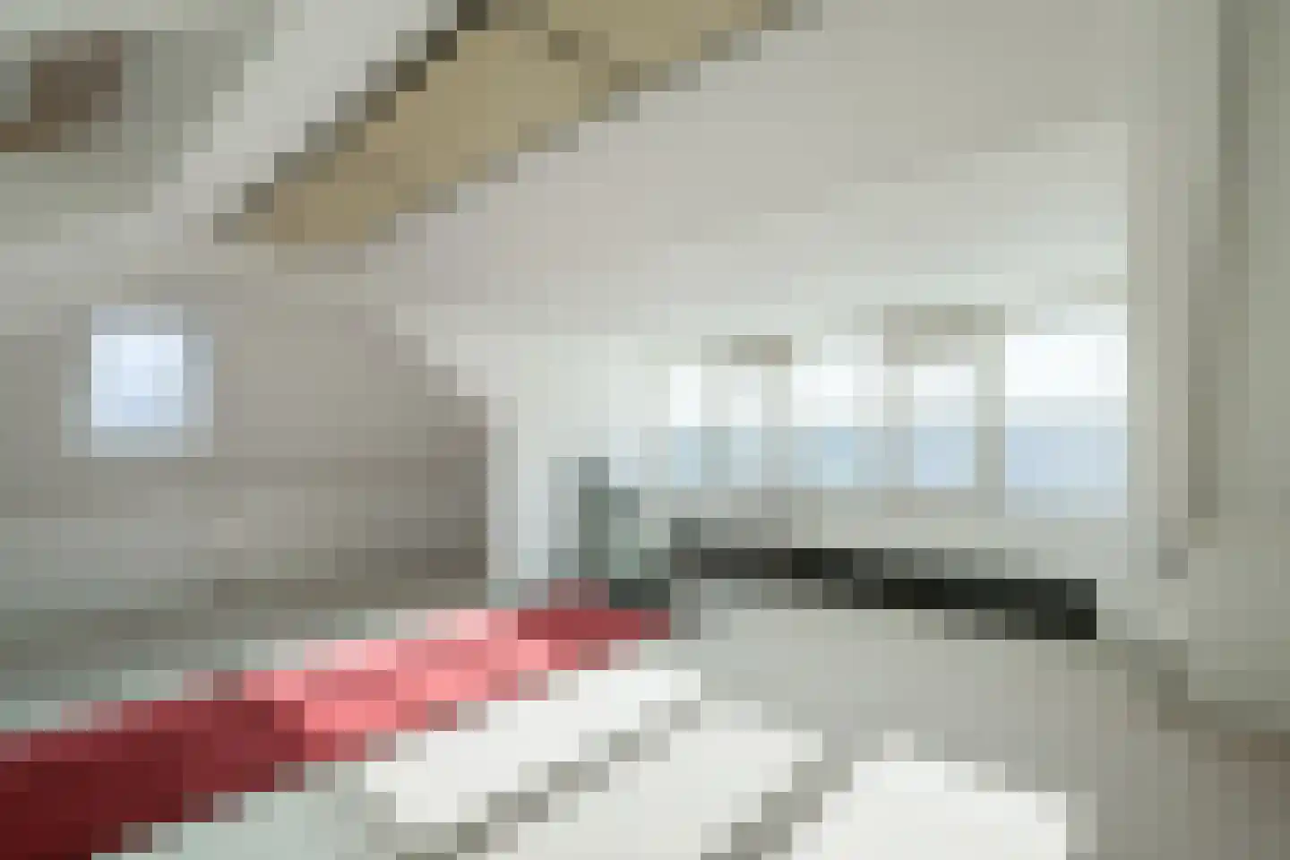Hovenstraat 7 Varsseveld thumbnail 46