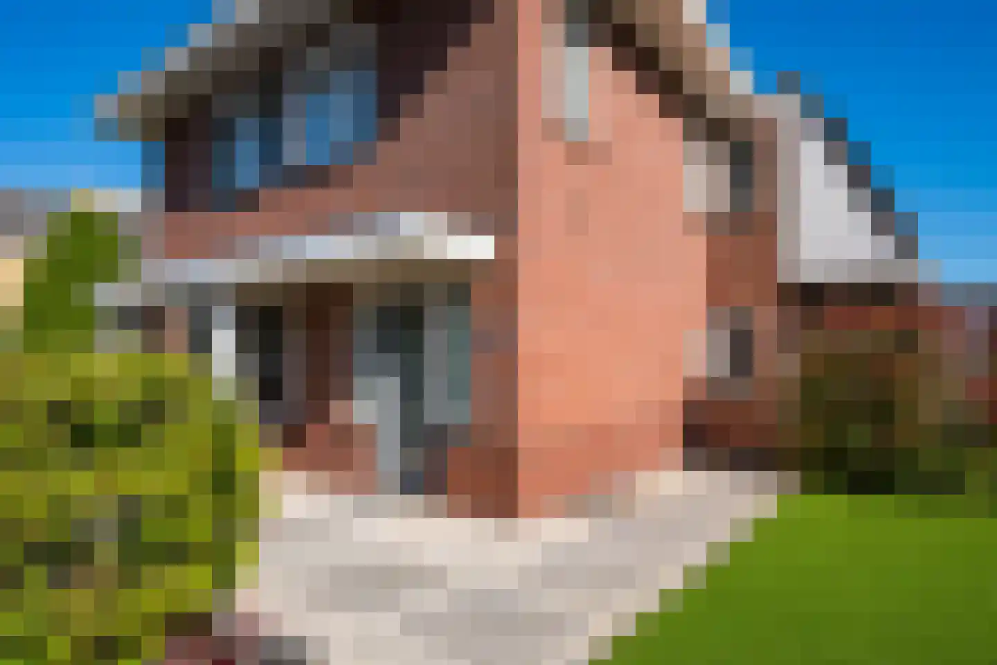 Hovenstraat 7 Varsseveld thumbnail 8