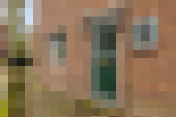 Hovenstraat 8 Dinxperlo thumbnail 4
