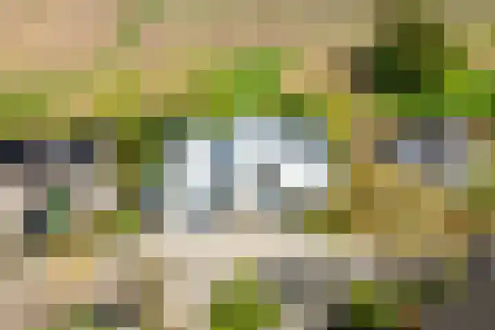 Hovenweide 24 Geleen thumbnail 4