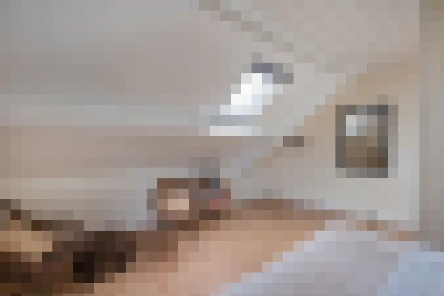 Hovenweide 8 Geleen thumbnail 47