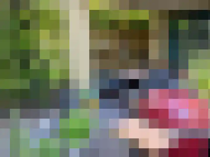 Hoverhofweg 3 Venlo thumbnail 23