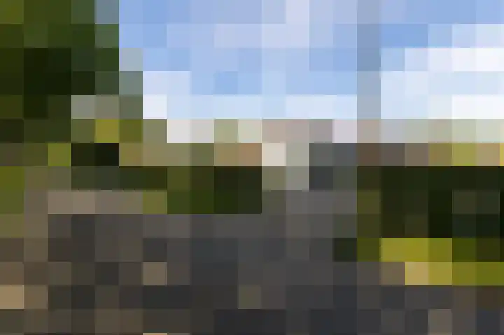 Hovinge 3 Zuidlaren thumbnail 105
