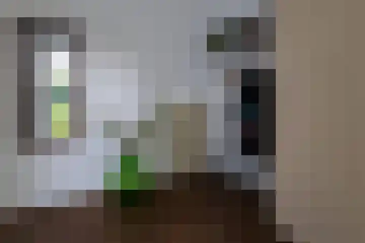 Hovinge 3 Zuidlaren thumbnail 12