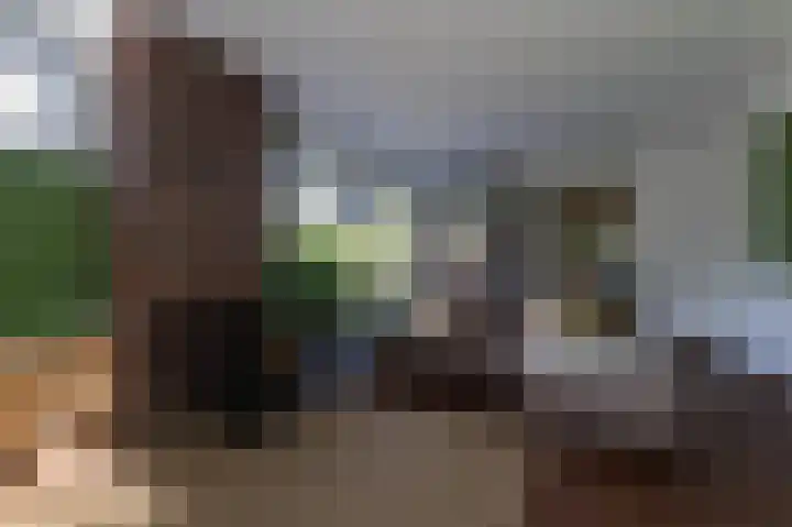 Hovinge 3 Zuidlaren thumbnail 13