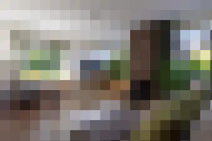 Hovinge 3 Zuidlaren thumbnail 16