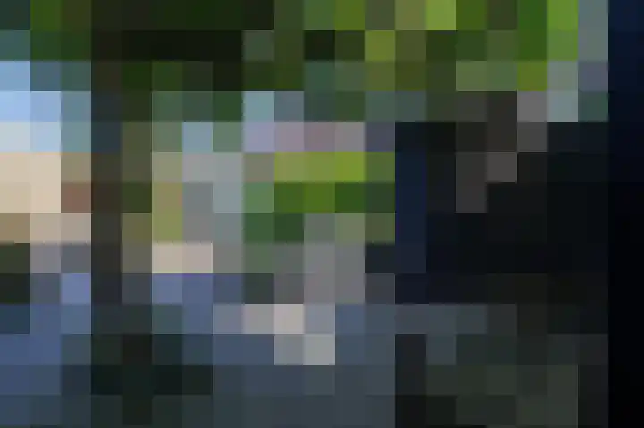 Hovinge 3 Zuidlaren thumbnail 29