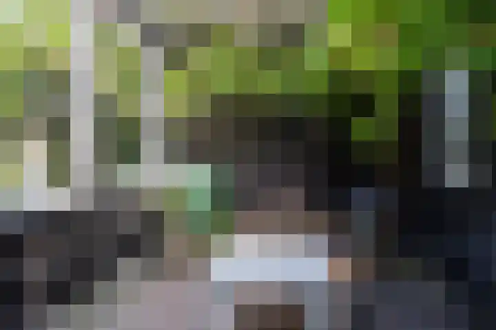 Hovinge 3 Zuidlaren thumbnail 32