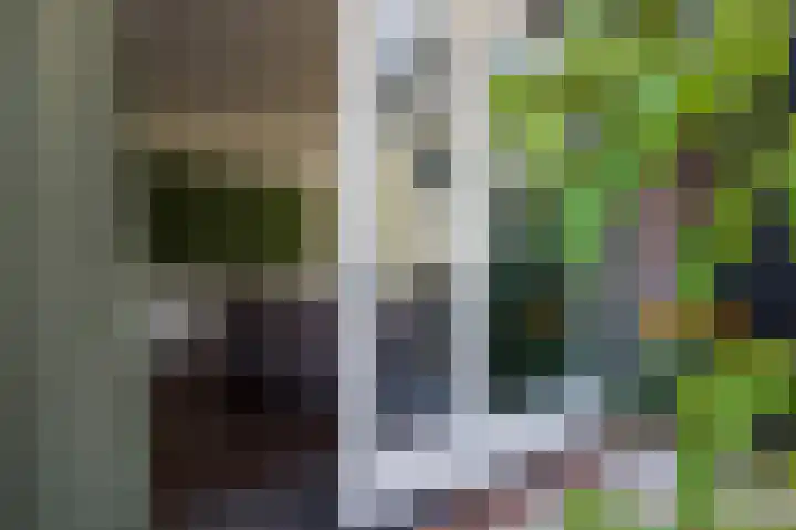 Hovinge 3 Zuidlaren thumbnail 47