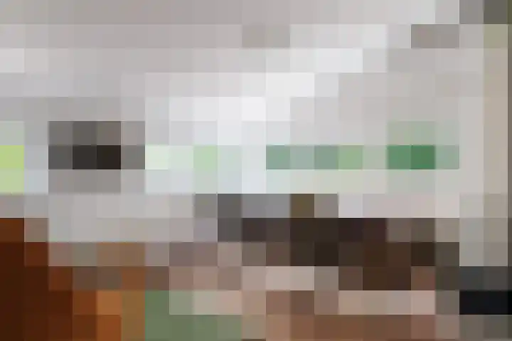 Hovinge 3 Zuidlaren thumbnail 53