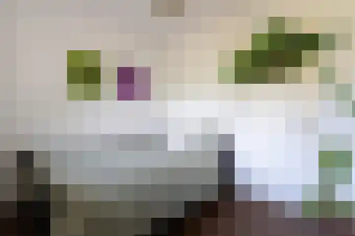 Hovinge 3 Zuidlaren thumbnail 87