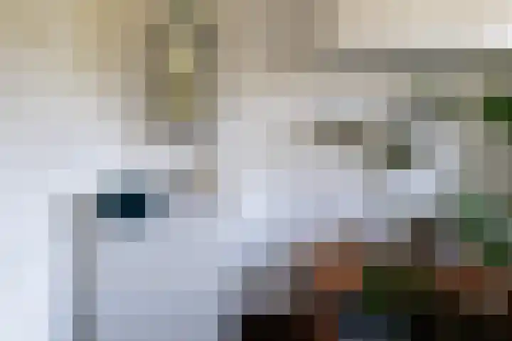 Hovinge 3 Zuidlaren thumbnail 89