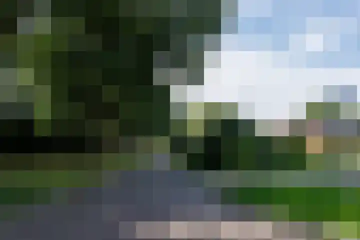 Hovinge 3 Zuidlaren thumbnail 93