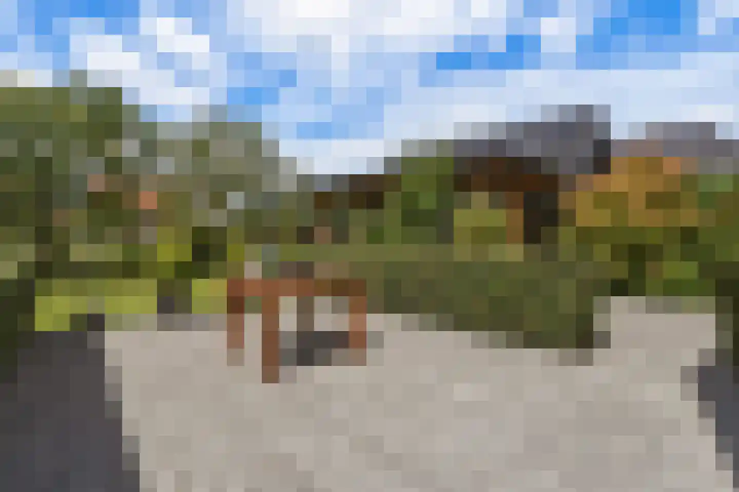 Howlin' Wolfstraat 5 Middelburg thumbnail 41