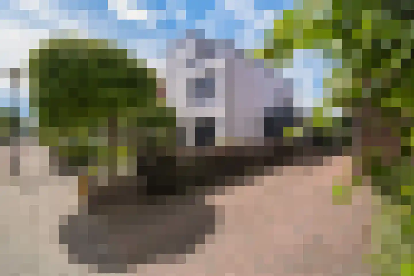Howlin' Wolfstraat 5 Middelburg thumbnail 42