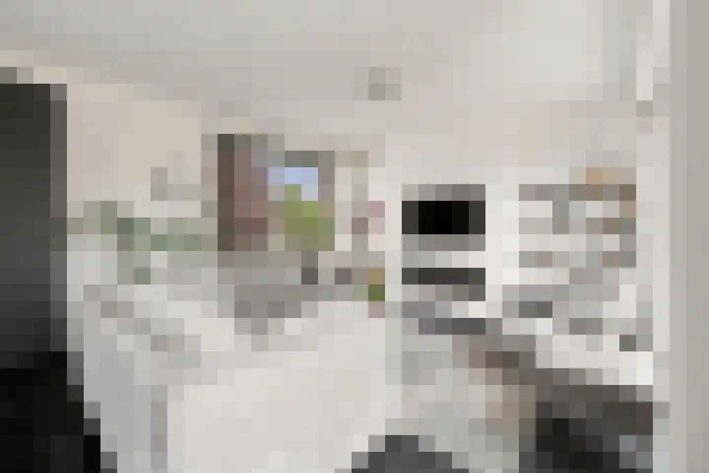 Howlin' Wolfstraat 5 Middelburg thumbnail 6