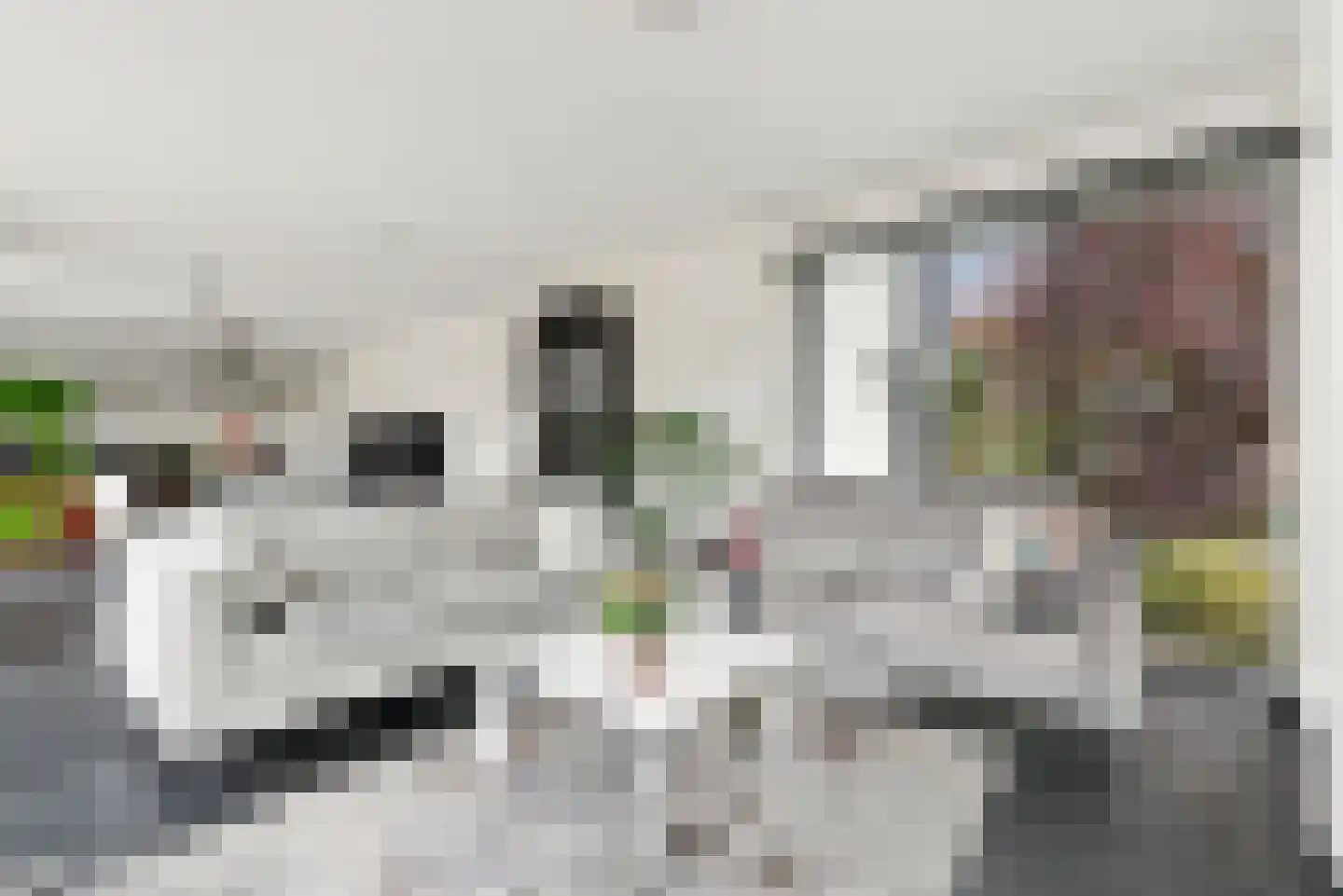 Howlin' Wolfstraat 5 Middelburg thumbnail 7
