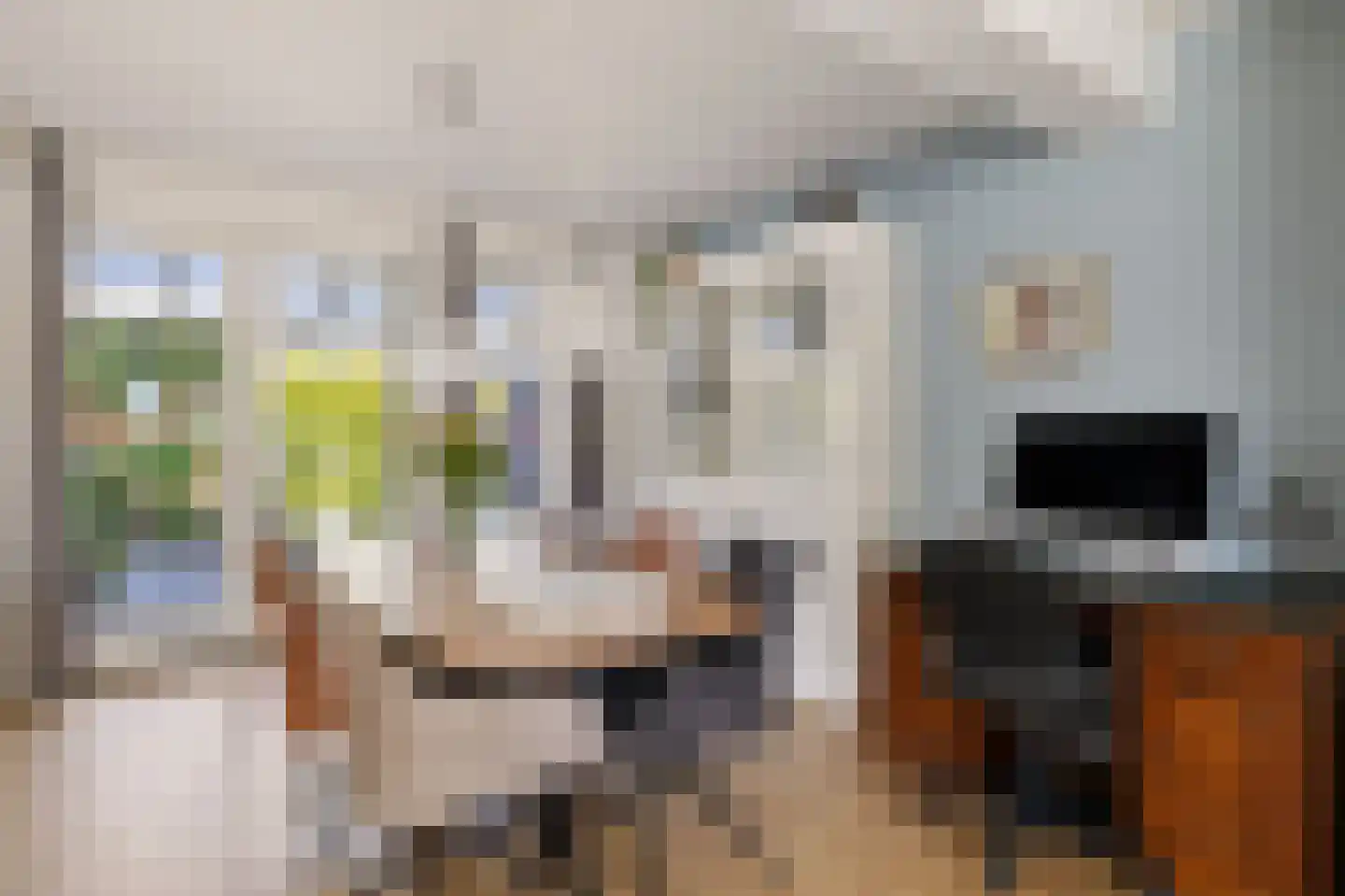 Hoxma 20 Grou thumbnail 14