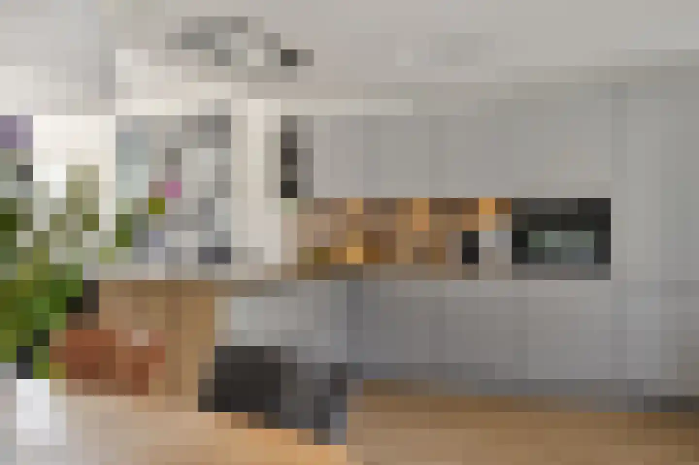 Hoxma 20 Grou thumbnail 16