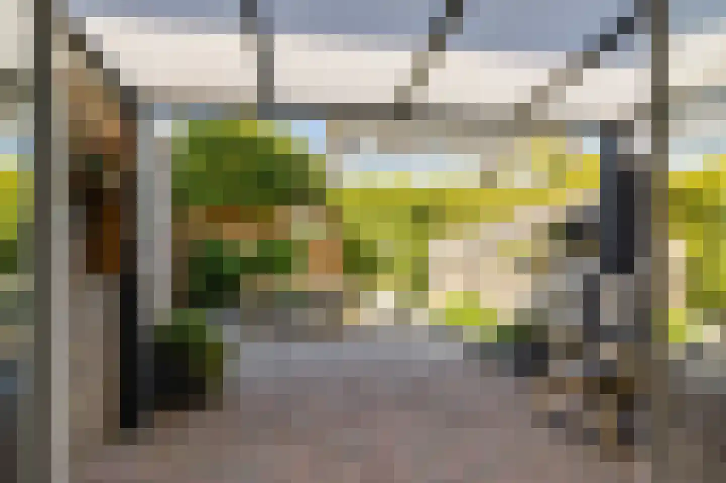 Hoxma 20 Grou thumbnail 20