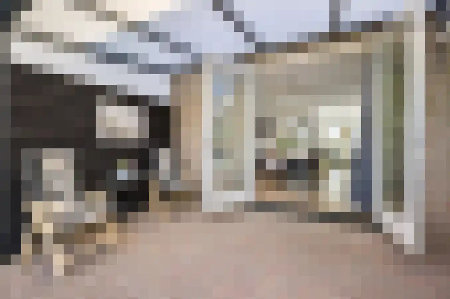 Hoxma 20 Grou thumbnail 22