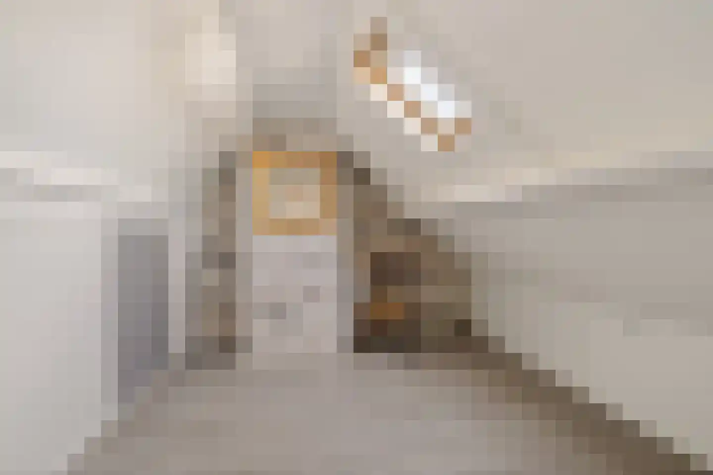Hoxma 20 Grou thumbnail 33