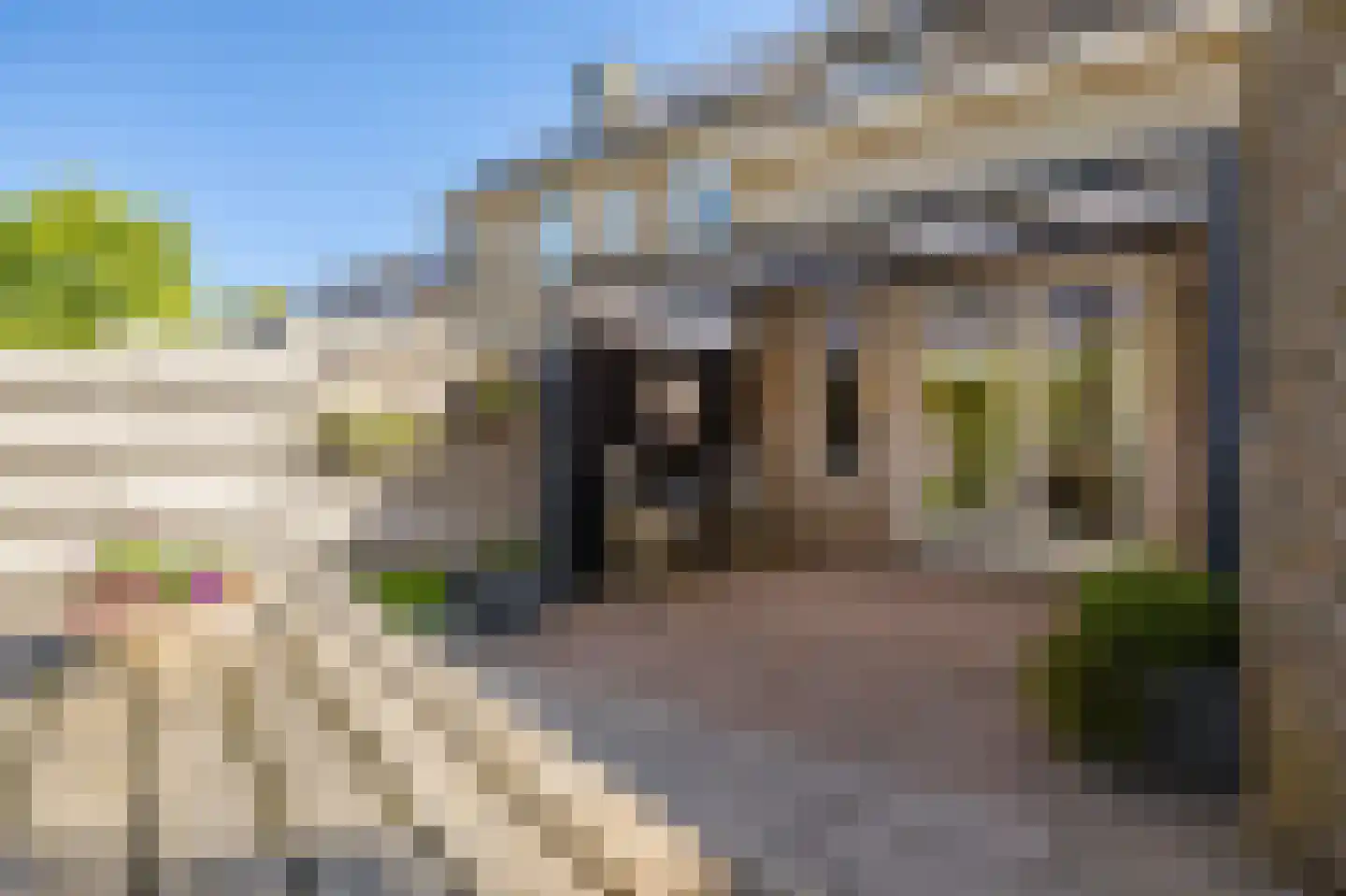 Hoxma 20 Grou thumbnail 37