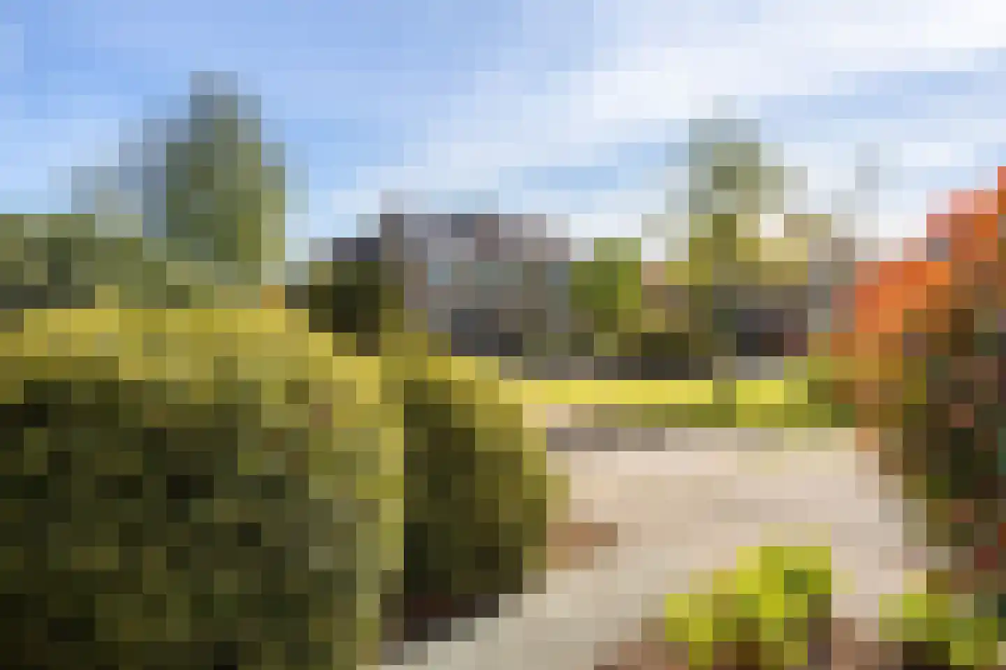 Hoxma 20 Grou thumbnail 7