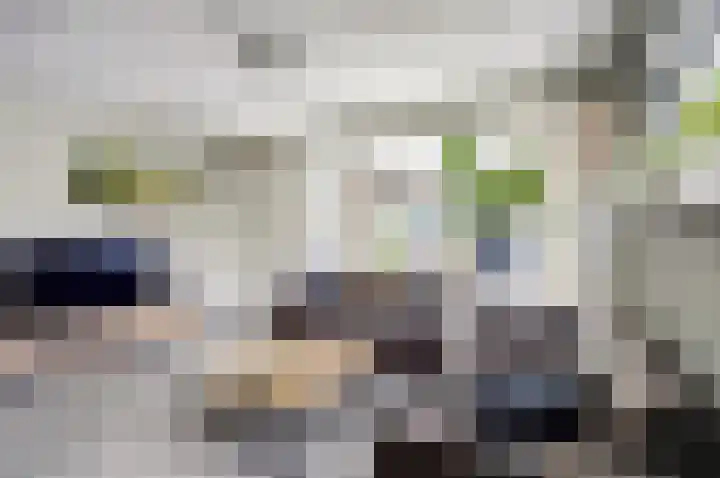 Hoxma 32 Grou thumbnail 10