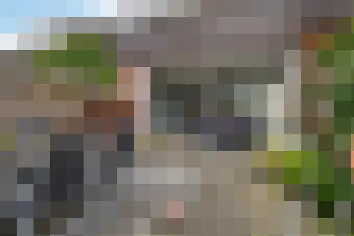 Hoxma 54 Grou thumbnail 29
