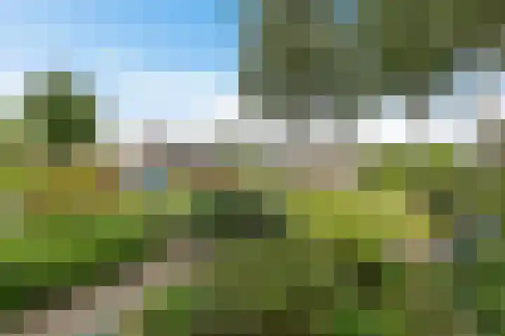 Hoxma 54 Grou thumbnail 6